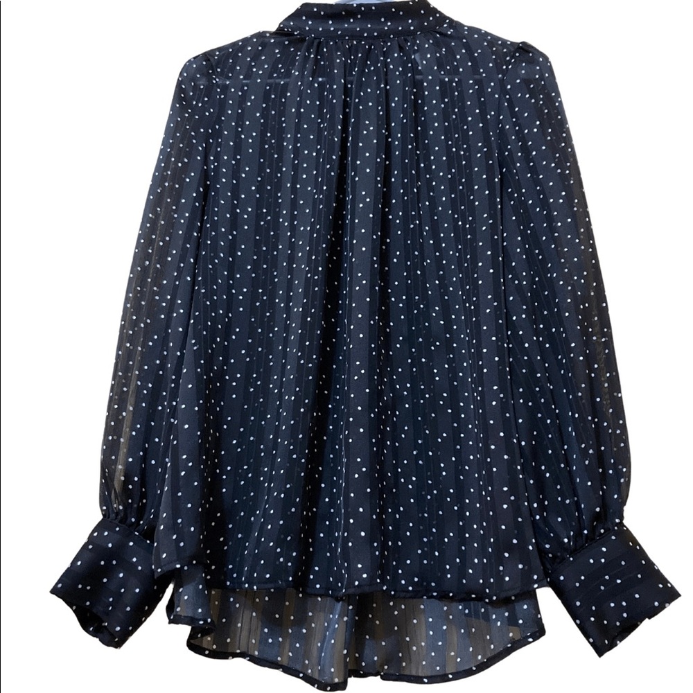 Black Polka Dot Sheer Blouse
